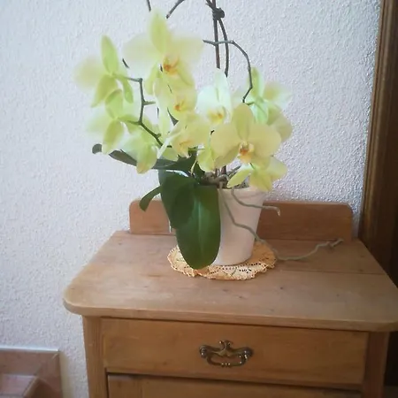 Homestay Haus Heckenrose